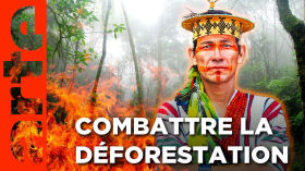 Brésil, replanter l'Amazonie | Gardiens de la forêt | ARTE by Arte FR